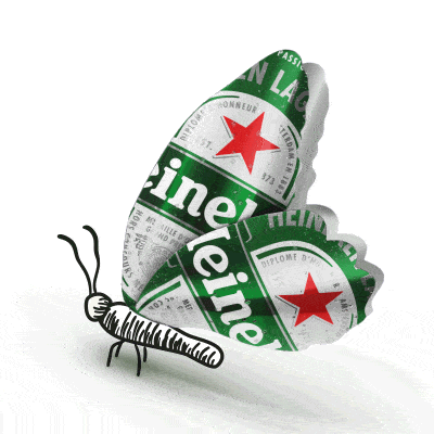 Heineken Blumenwiese